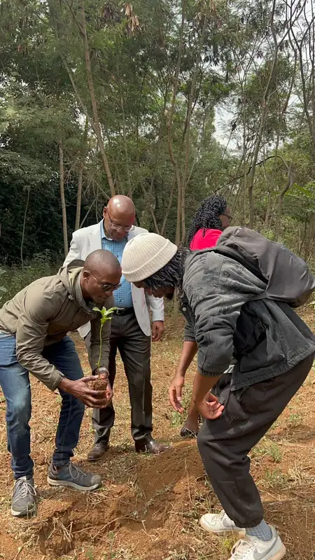 Volunteers planting a seedling together at a corporate tree-planting day